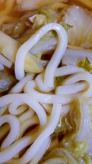 白菜とねぎの冬うどん